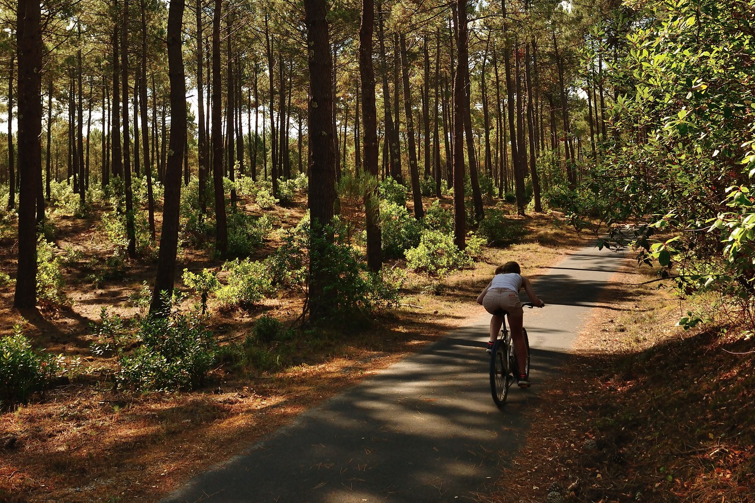 La pinède, le golf & le vélo